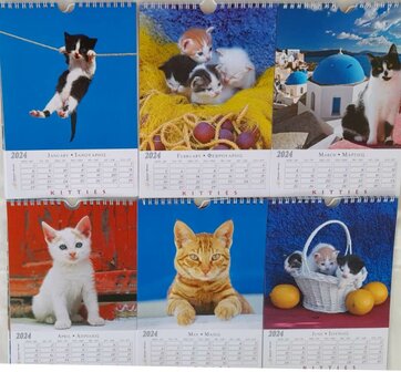 Kalender "Kitties" 2024